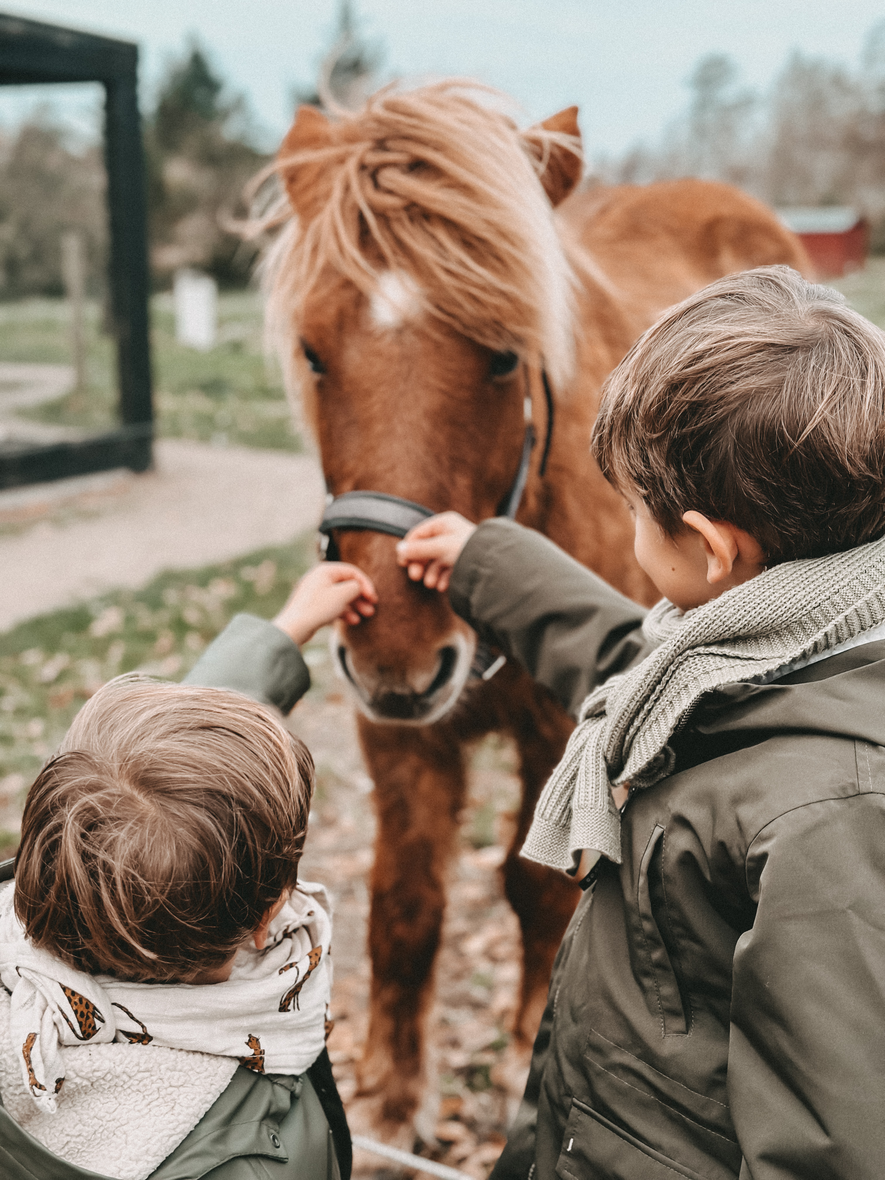 Bondegård for børn