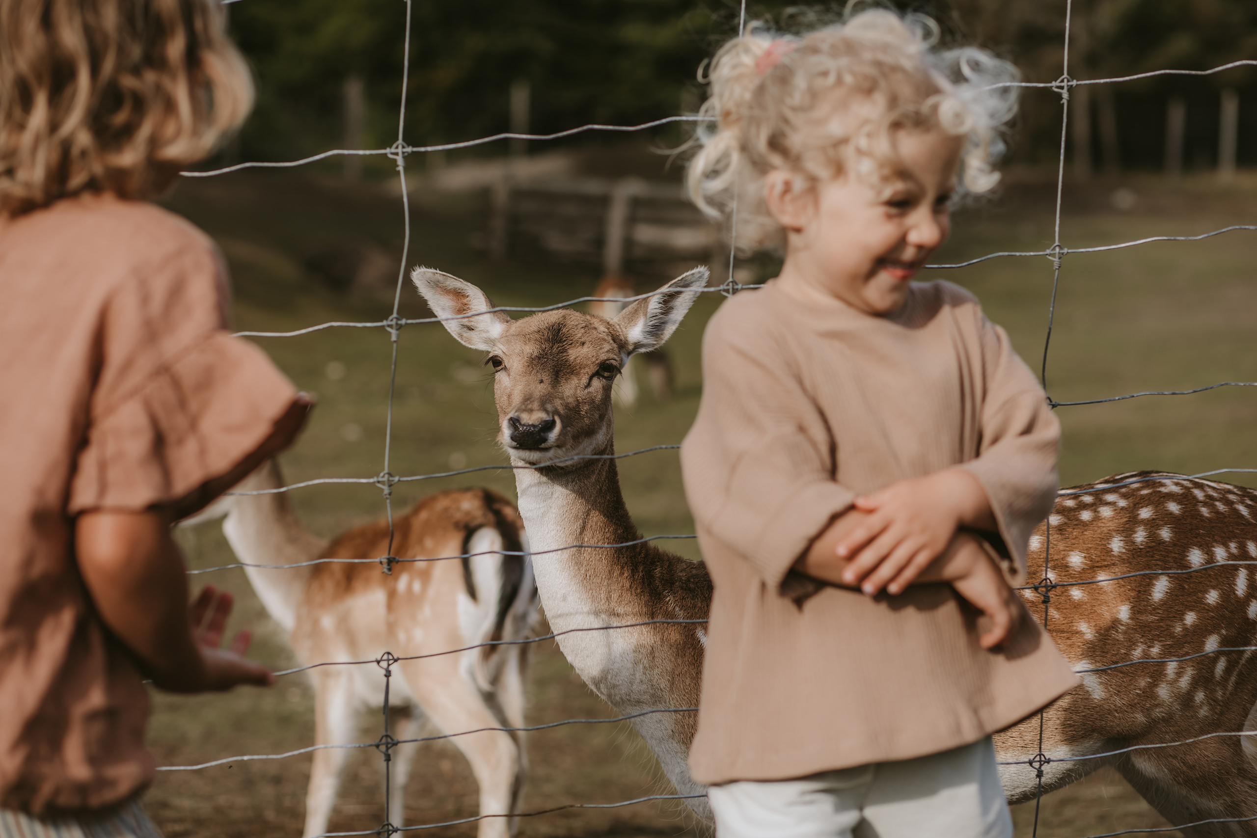Dyregård for hele familien